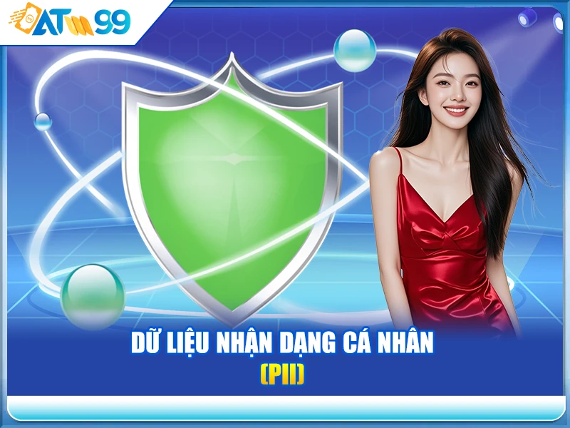 du-lieu-nhan-dang-ca-nhan-pii-